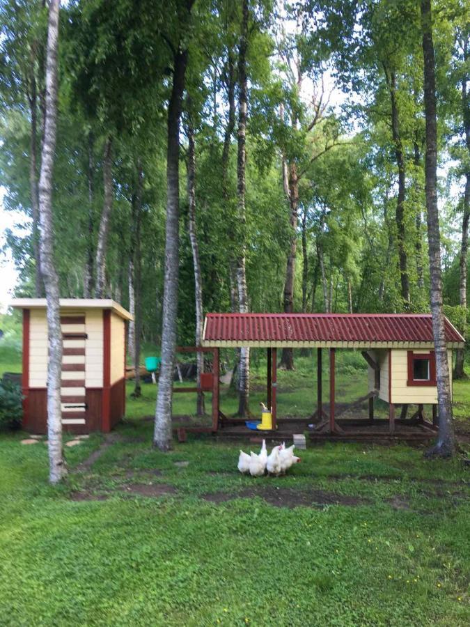 Reinholdi Puhkemaja Villa Jabara Exterior foto